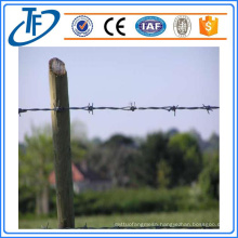 Galvanized Barbed Wire